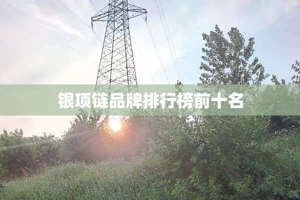银项链品牌排行榜前十名