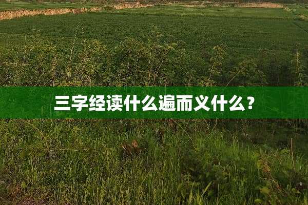 三字经读什么遍而义什么？