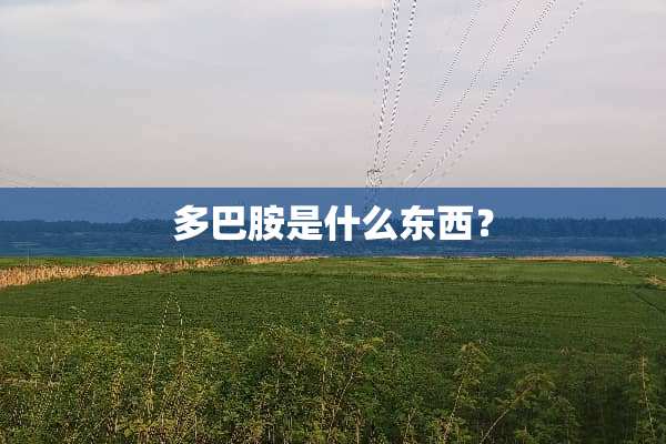多巴胺是什么东西？
