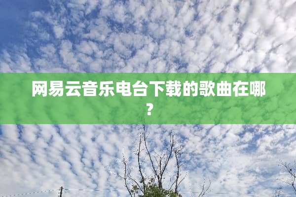 网易云音乐电台下载的歌曲在哪？