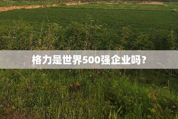 格力是世界500强企业吗？