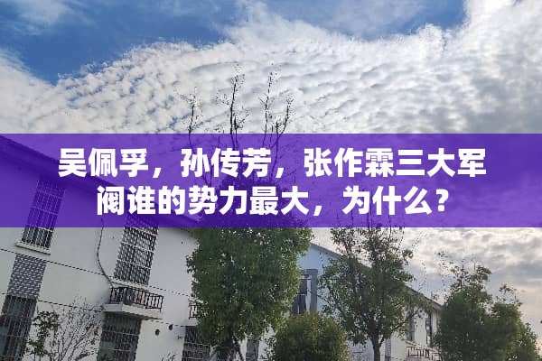 吴佩孚，孙传芳，张作霖三大军阀谁的势力最大，为什么？