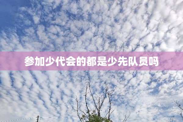 参加少代会的都是少先队员吗