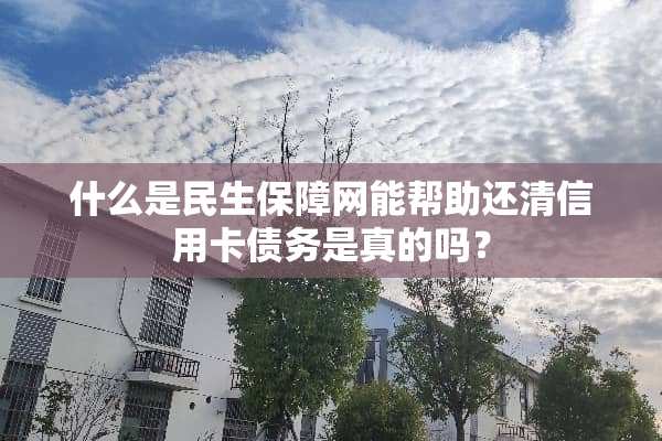 什么是民生保障网能帮助还清***债务是真的吗？