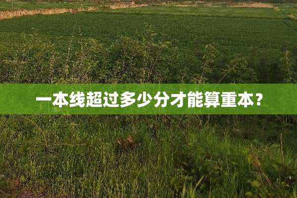 一本线超过多少分才能算重本？