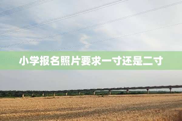 小学报名照片要求一寸还是二寸