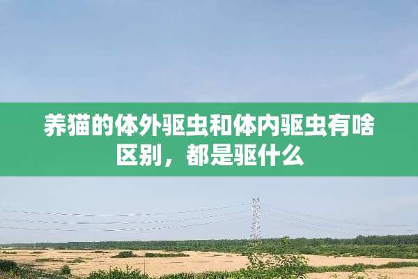 养猫的体外驱虫和体内驱虫有啥区别，都是驱什么