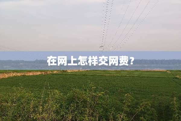 在网上怎样交网费？