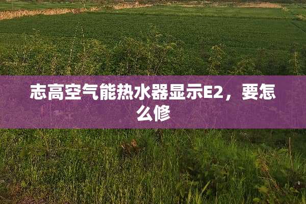志高空气能热水器显示E2，要怎么修