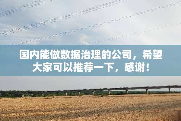 国内能做数据治理的公司，希望大家可以推荐一下，感谢！