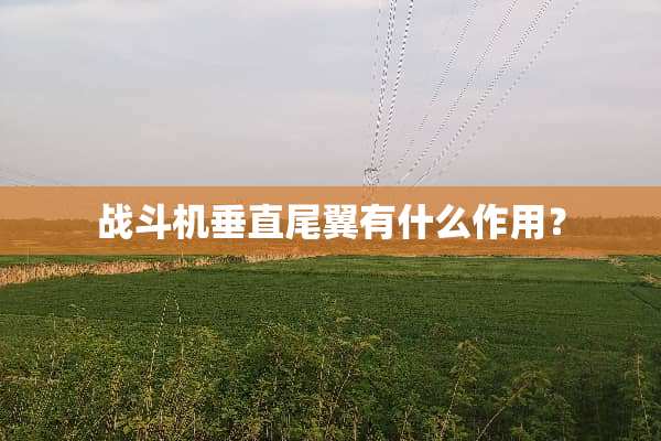 战斗机垂直尾翼有什么作用？