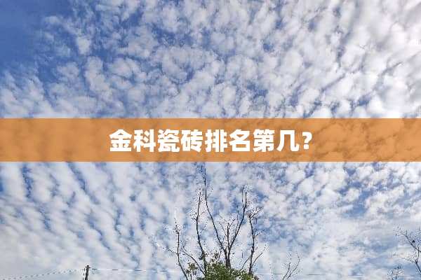 金科瓷砖排名第几？