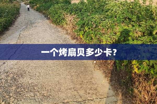 一个烤扇贝多少卡？