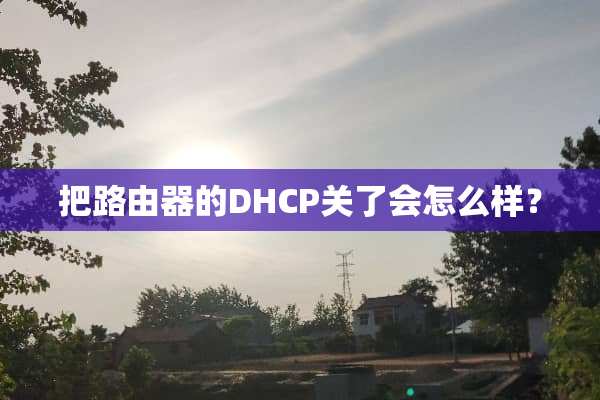 把路由器的DHCP关了会怎么样？