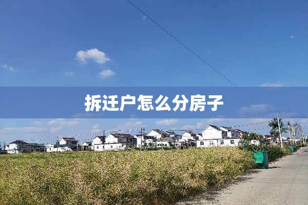 拆迁户怎么分房子
