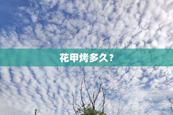 花甲烤多久？