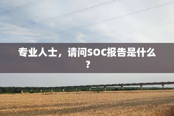 专业人士，请问SOC报告是什么？