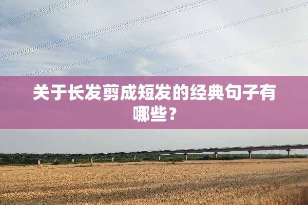 关于长发剪成短发的经典句子有哪些？