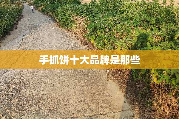 手抓饼十大品牌是那些
