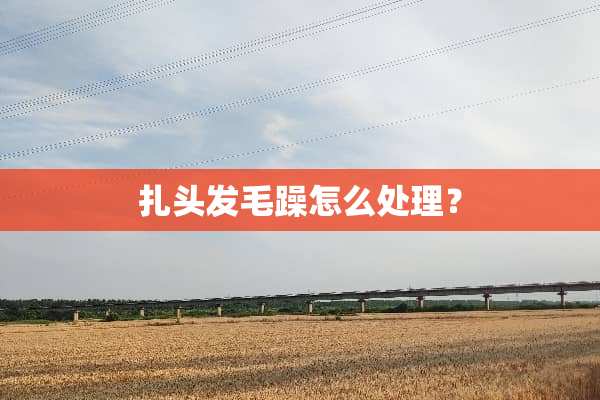 扎头发毛躁怎么处理？