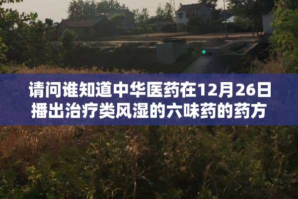 请问谁知道中华医药在12月26日播出治疗类风湿的六味药的药方