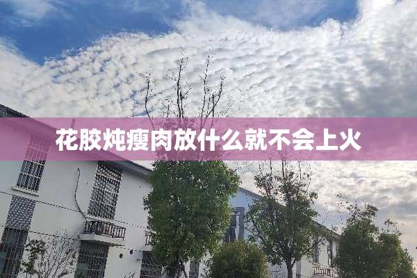花胶炖瘦肉放什么就不会上火