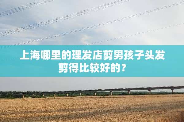 上海哪里的理发店剪男孩子头发剪得比较好的？