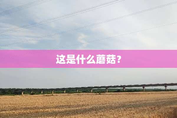 这是什么蘑菇？
