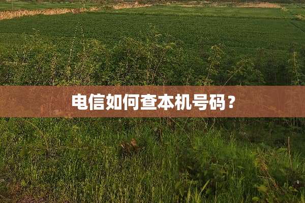 电信如何查本机号码？