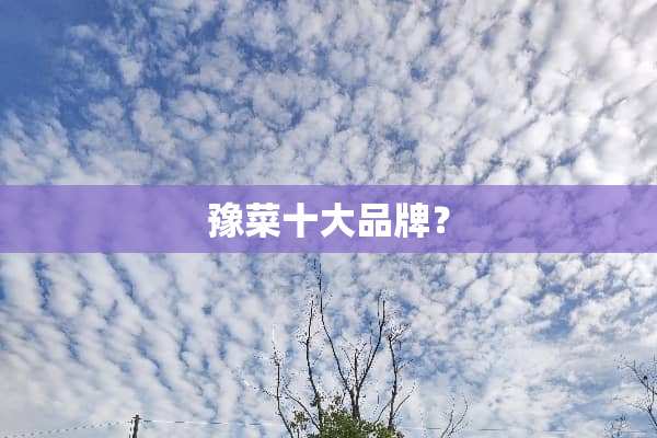 豫菜十大品牌？