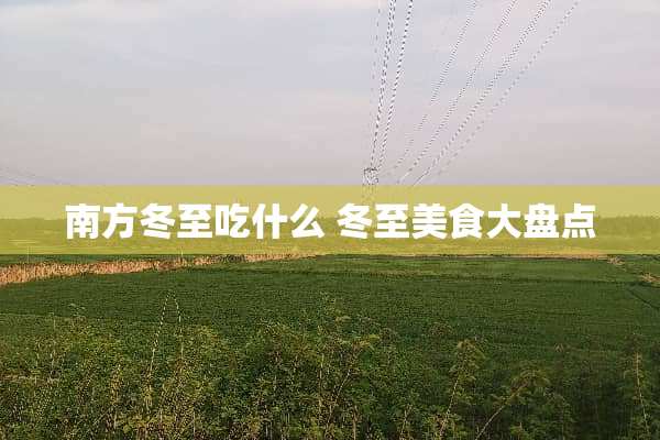 南方冬至吃什么 冬至美食大盘点