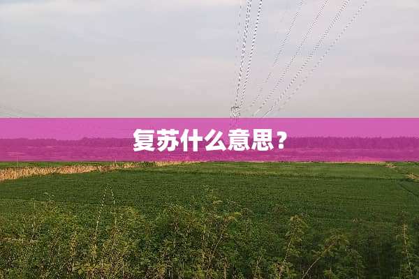 复苏什么意思？