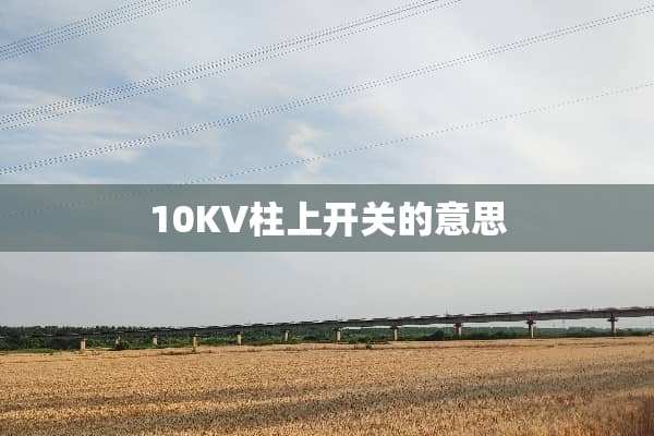 10KV柱上开关的意思
