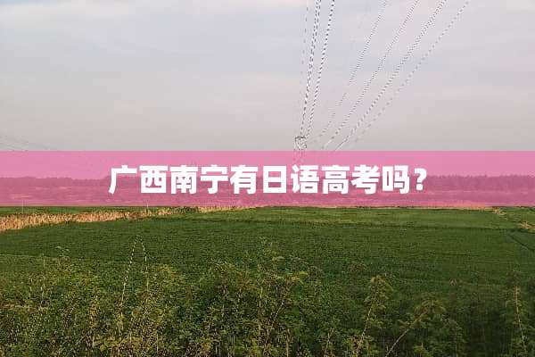 广西南宁有日语高考吗？