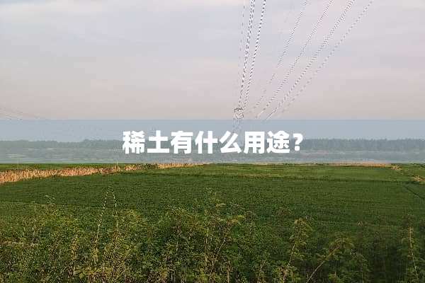 **有什么用途？