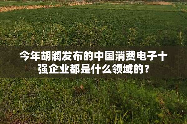 今年胡润发布的中国消费电子十强企业都是什么领域的？
