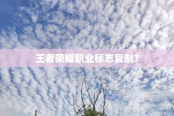 王者荣耀职业标志复制？