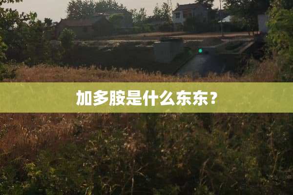 加多胺是什么东东？