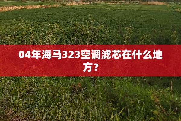 04年海马323空调滤芯在什么地方？