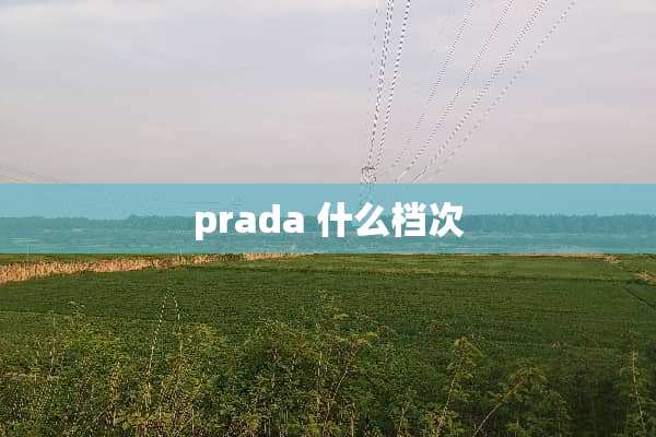 prada 什么档次