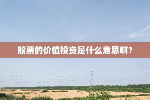 股票的价值投资是什么意思啊？