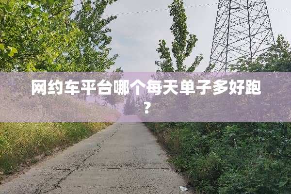 网约车平台哪个每天单子多好跑？
