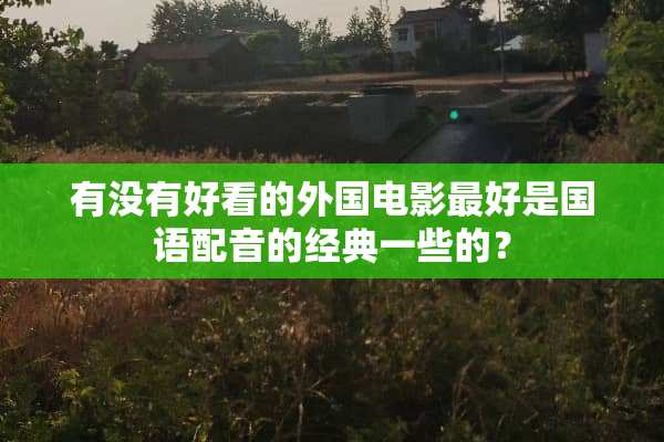 有没有好看的外国电影最好是国语配音的经典一些的？