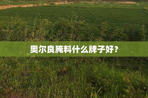 奥尔良腌料什么牌子好？