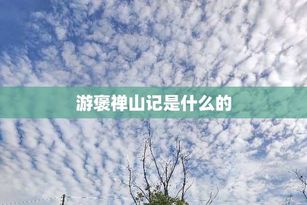 游褒禅山记是什么的