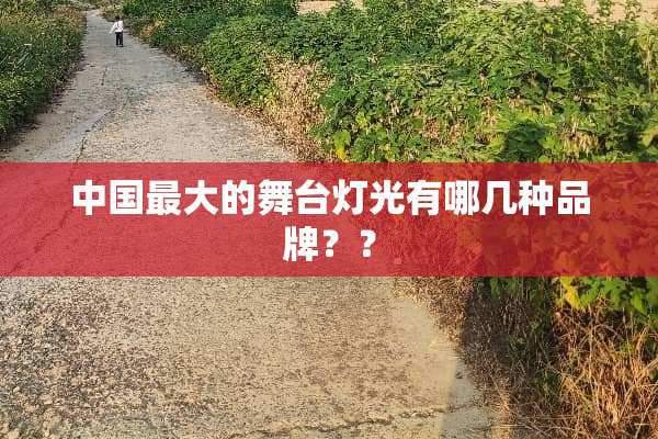 中国最大的舞台灯光有哪几种品牌？？