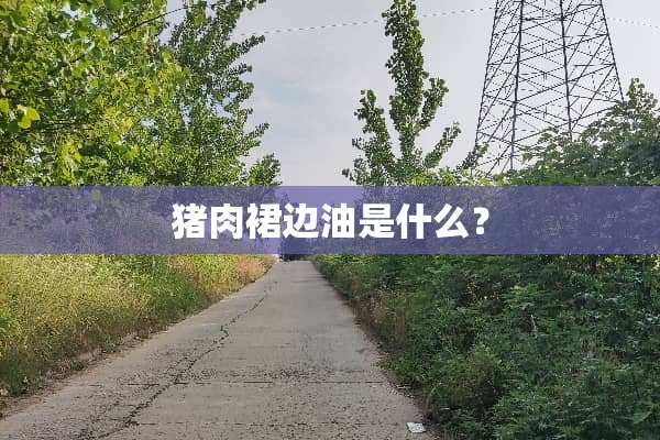 猪肉裙边油是什么？