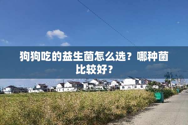 狗狗吃的益生菌怎么选？哪种菌比较好？