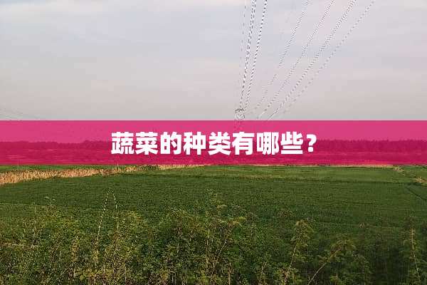 蔬菜的种类有哪些？