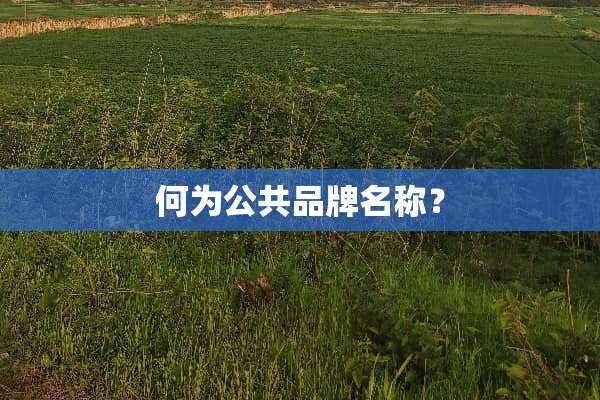 何为公共品牌名称？